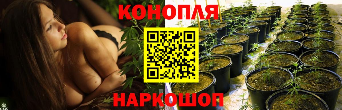 Бошки Шишки ГИДРОПОН  Шишки марихуана марихуана  Конопля OG Kush  Вход с VPN  Бошки марихуана MAZAR  Саранск 